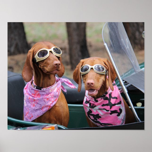 Marty & Zoe Poster (Framsidan)