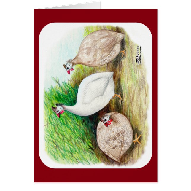 Marulfus utanför OBS kort (Framsidan)