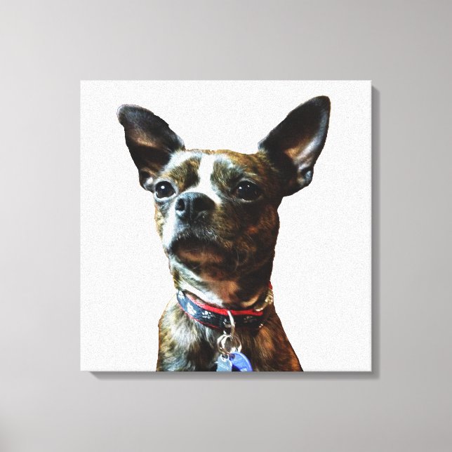 Marv-man Canvastryck (Framsida)