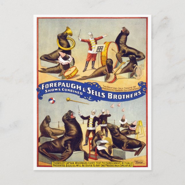 Marvelely Traed Circus Sälar, 1899 Vykort (Framsida)