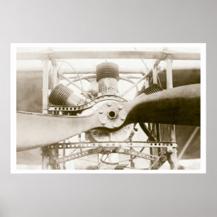 Marvelous Flies Maskin Poster