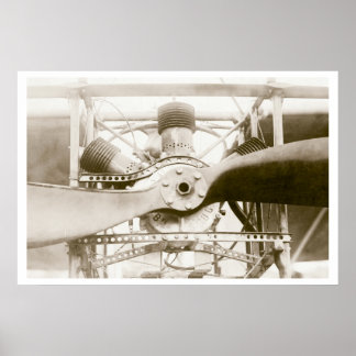 Marvelous Flies Maskin Poster