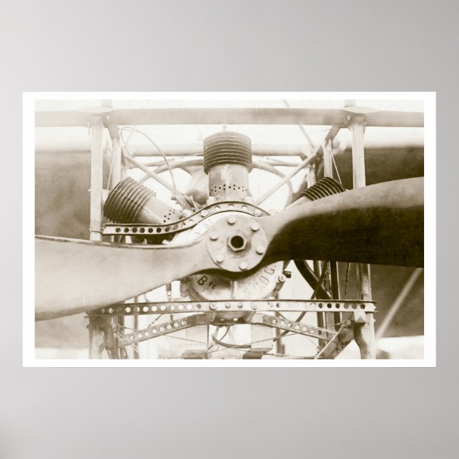 Marvelous Flies Maskin Poster (Framsidan)