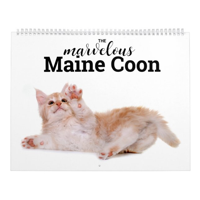 Marvelous Maine Coon Calender Kalender (Omslag)