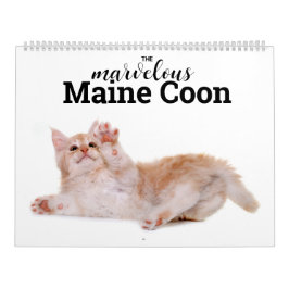 Marvelous Maine Coon Calender Kalender