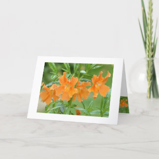 Marvelous Mimulus Notecard Kort