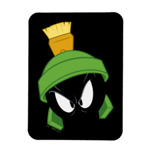 MARVIN MARTIAN™ Arg Ansikte Magnet