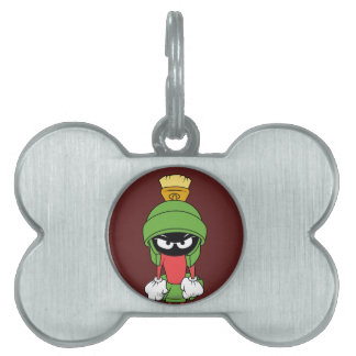 MARVIN MARTIAN™-UPPSÄTTNING NAMNBRICKA HUSDJUR