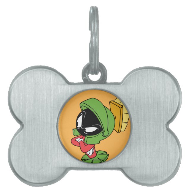 MARVIN THE MARTIAN™ Annoyed Namnbricka Husdjur (Framsidan)