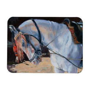 Marwari häst Rajasthan 2010 Magnet