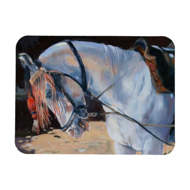 Marwari Horse Rajasthan 2010 Magnet (Horisontell)
