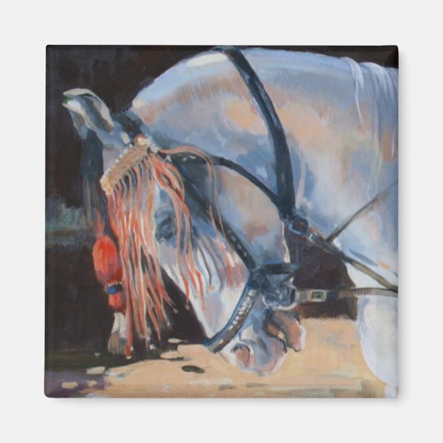 Marwari Horse Rajasthan 2010 Magnet (Framsidan)