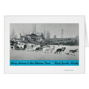 Mary Hansen & Siberians w/ Flygplan Hälsningskort