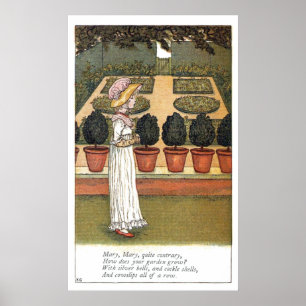 Mary, Mary, ganska kontrast Poster