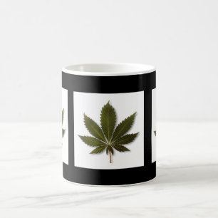 MARY MUGG