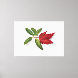 Mary Vaux Walcott painting Canvastryck