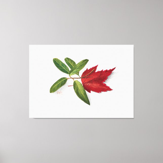 Mary Vaux Walcott painting Canvastryck (Framsida)