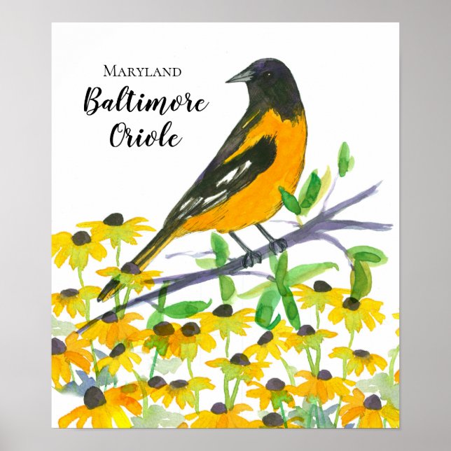 Maryland Baltimore Oriole Black Eyed Susans Poster (Framsidan)