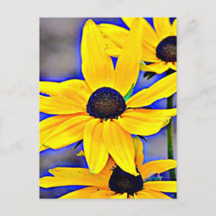 Maryland Black Eyed Susan Vykort