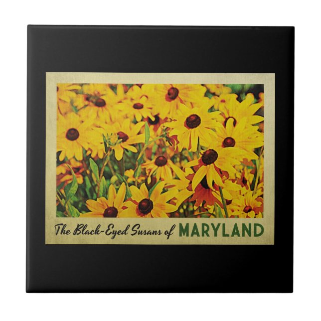 Maryland Black-Eyed Susans Kakelplatta (Framsidan)