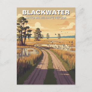 Maryland Blackwater National Wildlife Refuge Vykort
