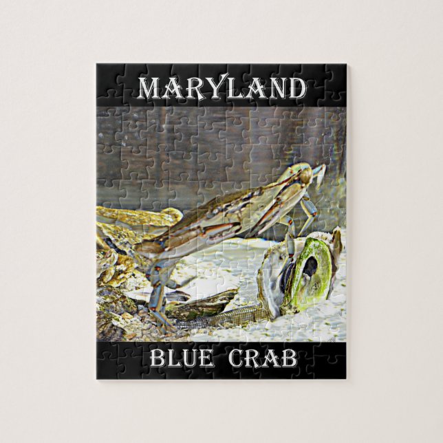 Maryland Blue Crab Pussel (Vertikal)