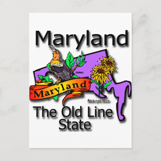 Maryland, den gamla statslinjens fågel vykort (Framsida)