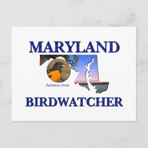Maryland Fågelskådare Vykort