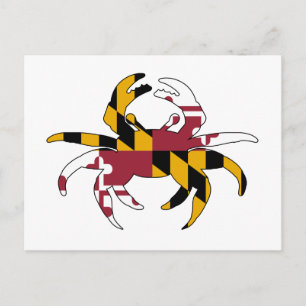 Maryland Flagga Crab Vykort