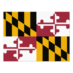 Maryland Flagga Fototryck