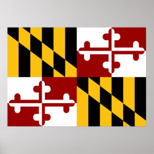 Maryland flagga poster