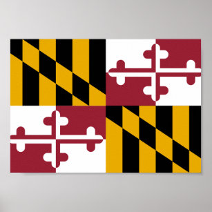 Maryland Flagga Poster