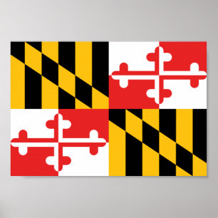 Maryland Flagga Poster