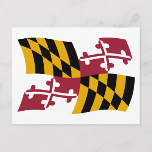 Maryland Flagga Postkort Vykort