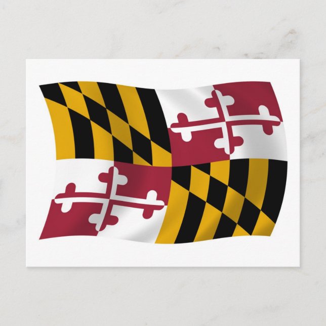 Maryland Flagga Postkort Vykort (Framsida)