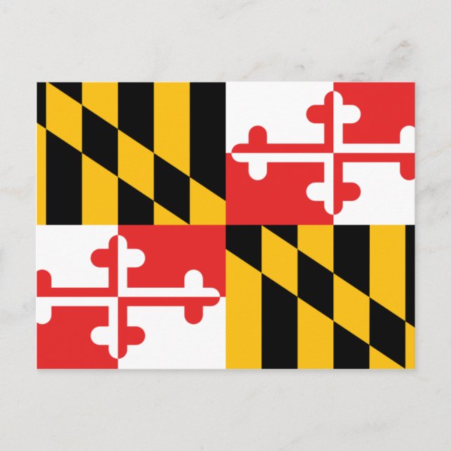 Maryland Flagga Vykort (Framsida)