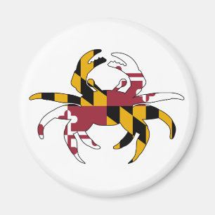Maryland flaggakrabba magnet