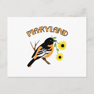 Maryland Oriole Vykort