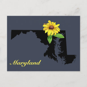Maryland Silhouette Vykort