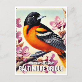 Maryland State Bird Baltimore Oriole Vykort