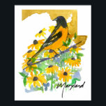Maryland State Shape Baltimore Oriole Susans Poster<br><div class="desc">A poster print decorated with a vibrant Baltimore Oriole bird perched in a blooming patch of Black-eyed Susans over the state shape in golden yellow shades hand illustrated with sepia ink and watercolor. Inspired by the state bird and state flower of Maryland. Great for college dorm room decor or anyone...</div>