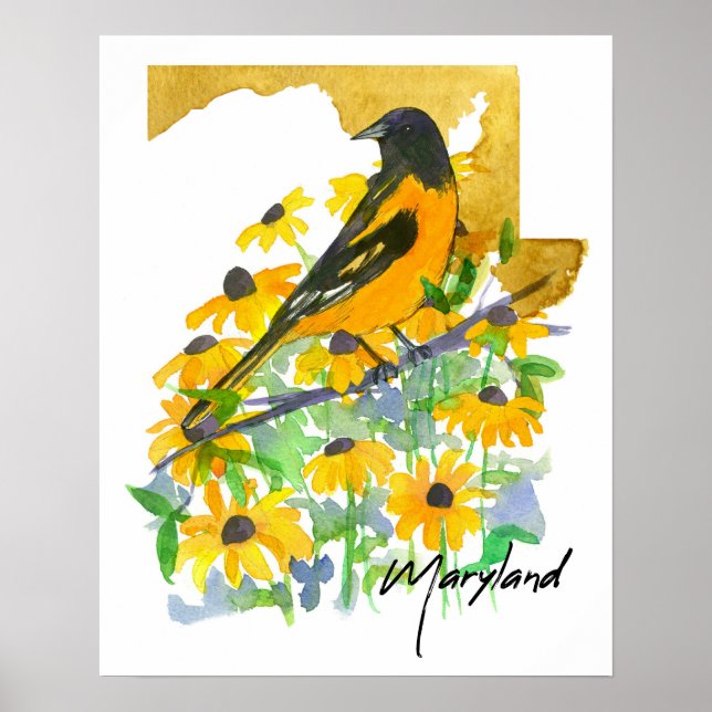 Maryland Statens Form Baltimore Oriole Susans Poster (Framsidan)