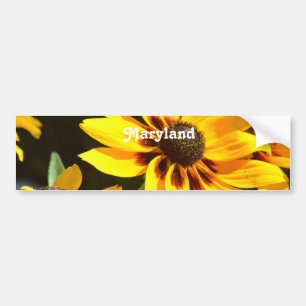Maryland statlig blomma bildekal