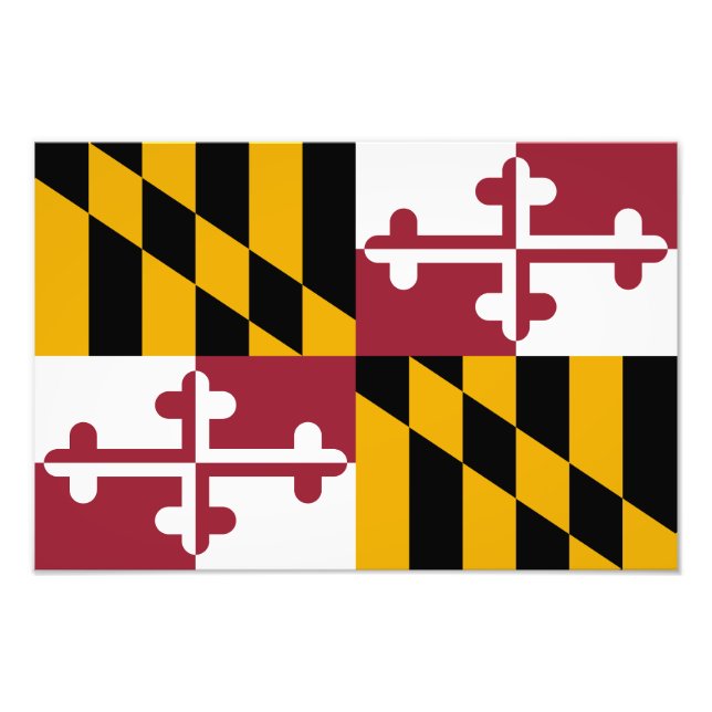 Maryland Statlig flagga Fototryck (Framsidan)