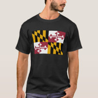 Maryland statlig flagga