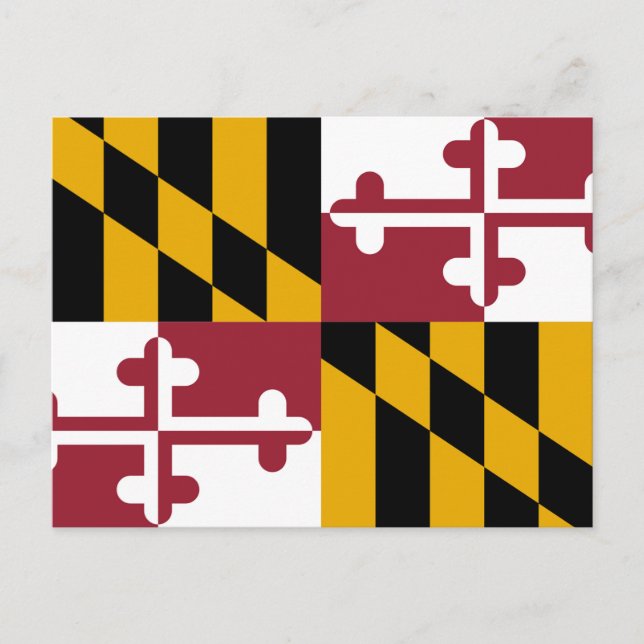Maryland Statlig flagga Vykort (Framsida)