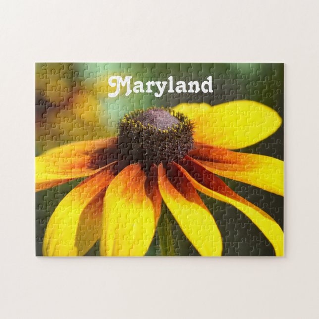 Maryland svart synade Susan Pussel (Horisontell)