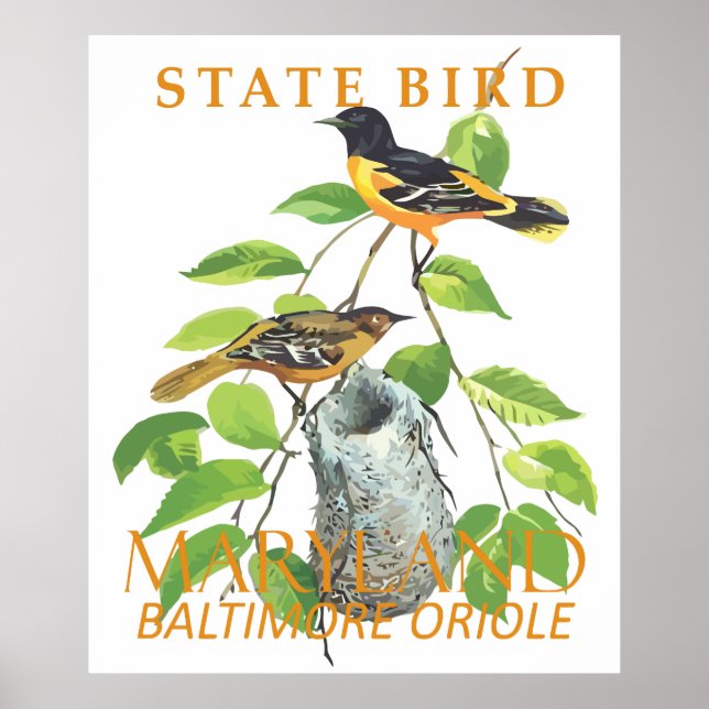 Maryland Territory Bird the Icterus galbula Poster (Framsidan)