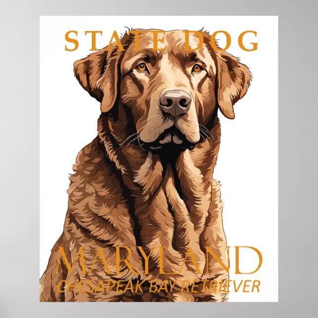 Maryland Territory Hund the Retriever 2 Poster (Framsidan)