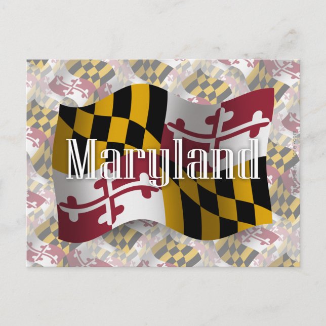 Maryland Wave Flagga Vykort (Framsida)